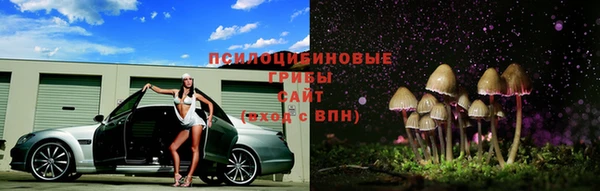 хмурый Россошь