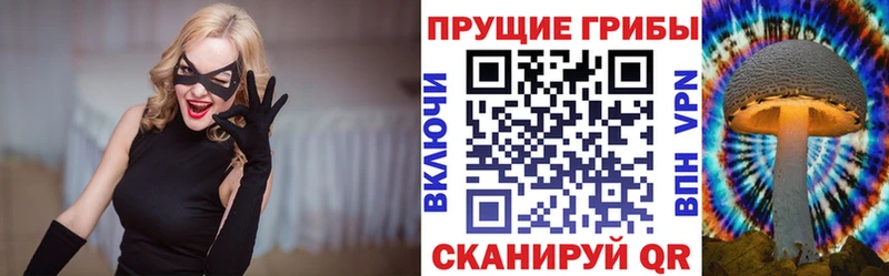 Псилоцибиновые грибы GOLDEN TEACHER  Избербаш 