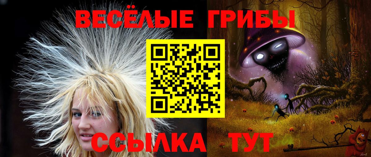 Галлюциногенные грибы мухоморы Избербаш
