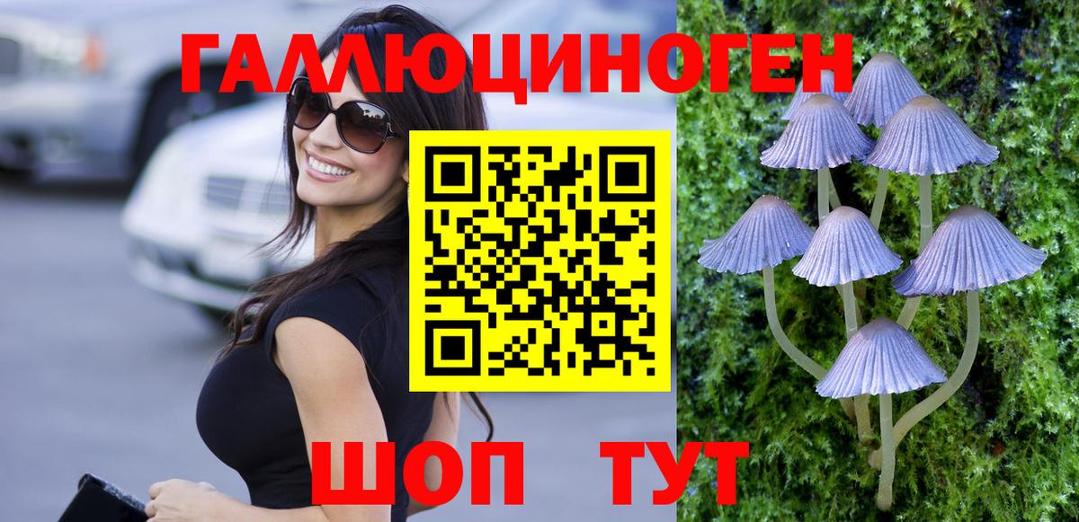 купить наркоту  Вход с VPN  Избербаш  Галлюциногенные грибы Psilocybine cubensis 